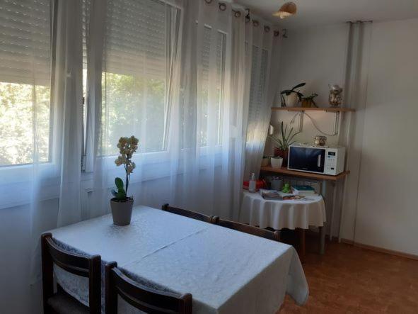 Homestay Rosalia Ljubljana Eksteriør billede