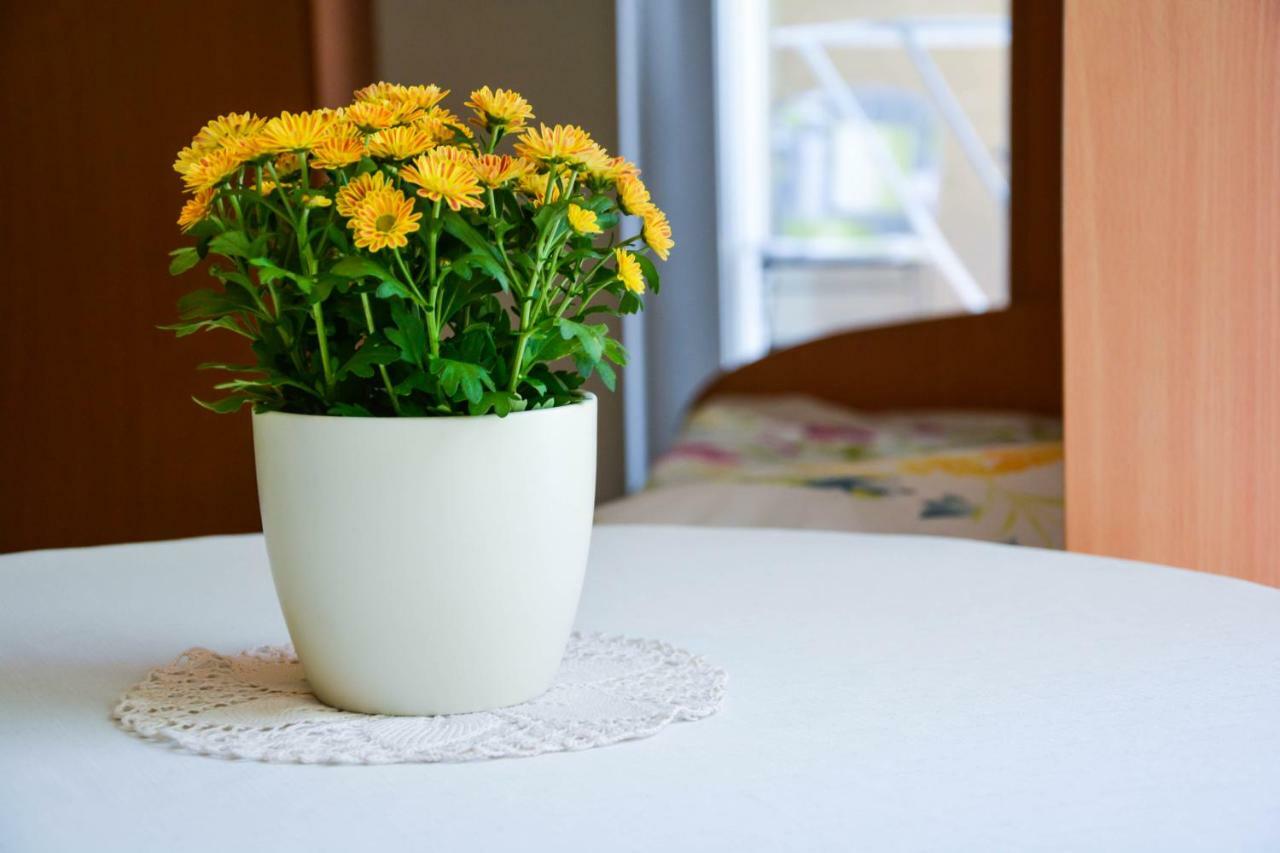 Homestay Rosalia Ljubljana Værelse billede